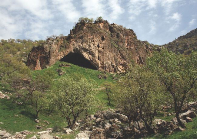غار شانه در - انسان نئاندرتال